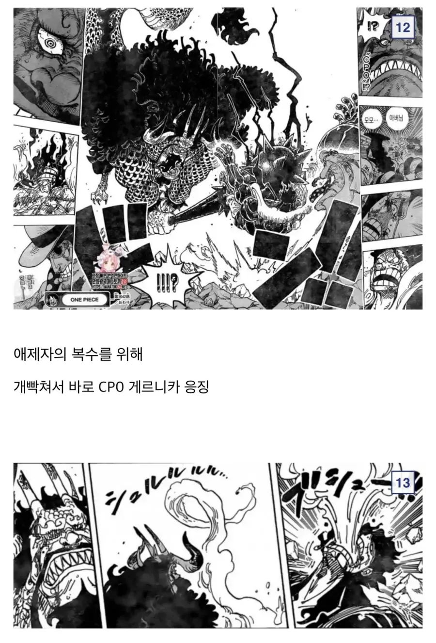 원피스)참스승 카이도 분석.manga - 이미지 11