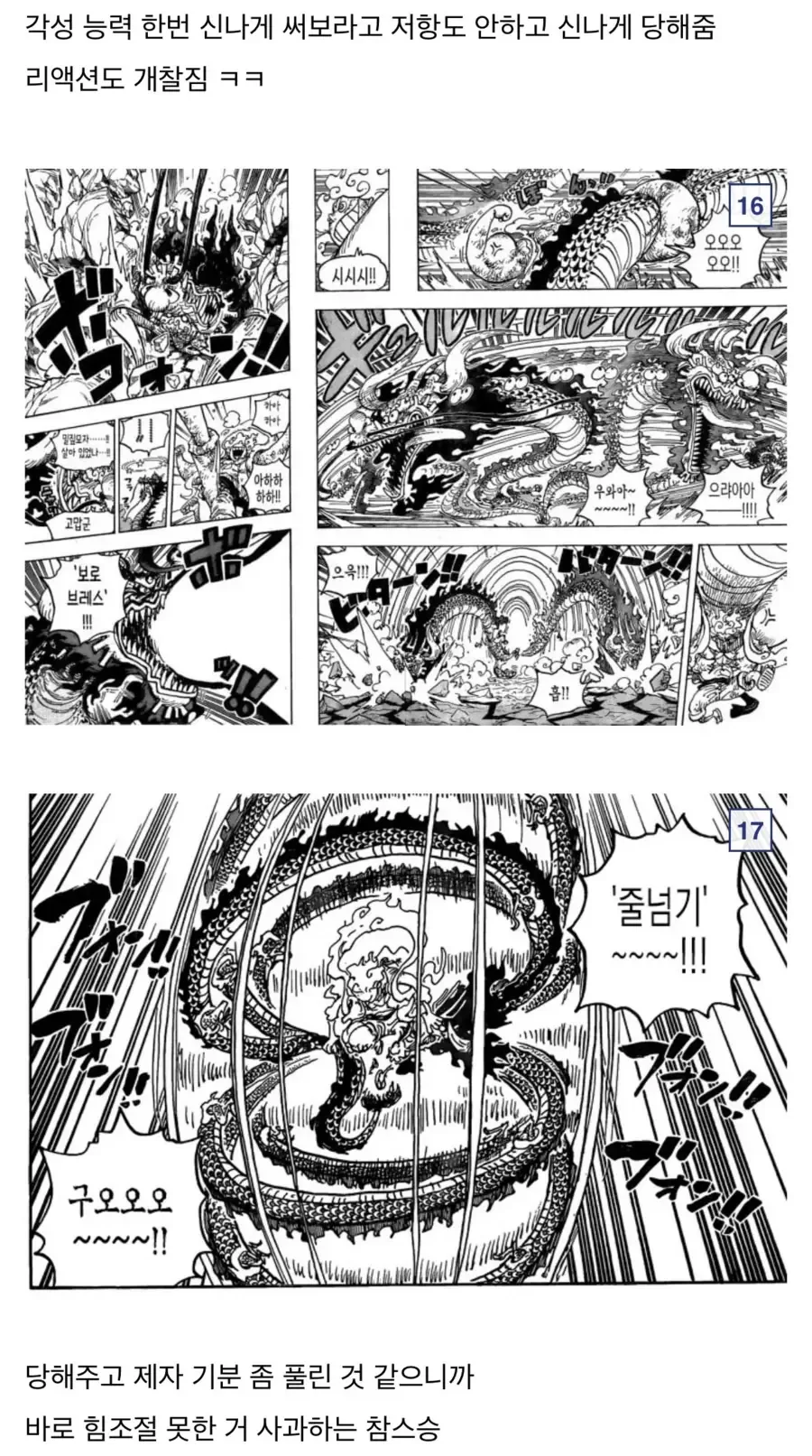 원피스)참스승 카이도 분석.manga - 이미지 13