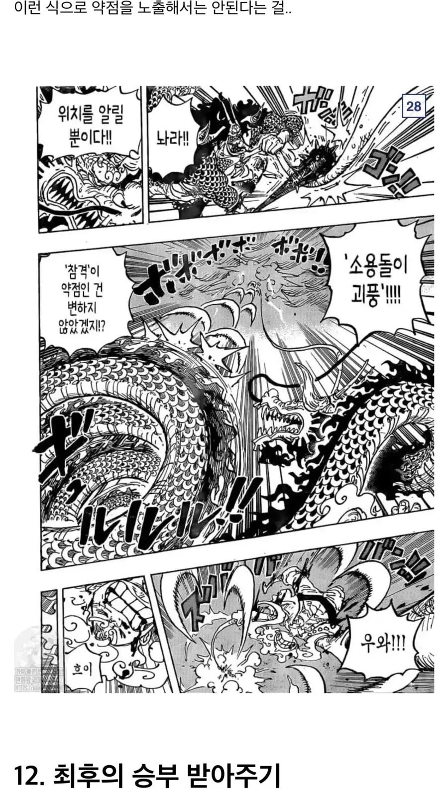 원피스)참스승 카이도 분석.manga - 이미지 23