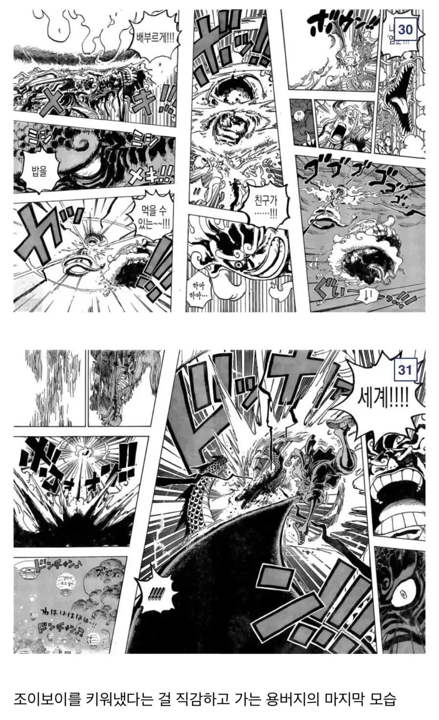 원피스)참스승 카이도 분석.manga - 이미지 25