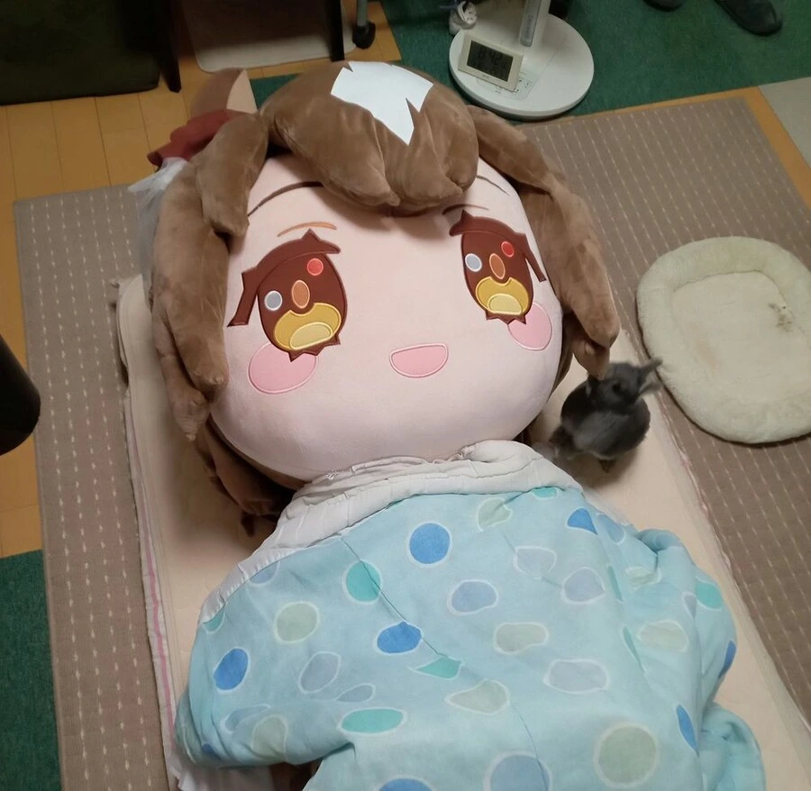 말딸) 잠자는 거대 다이아 인형