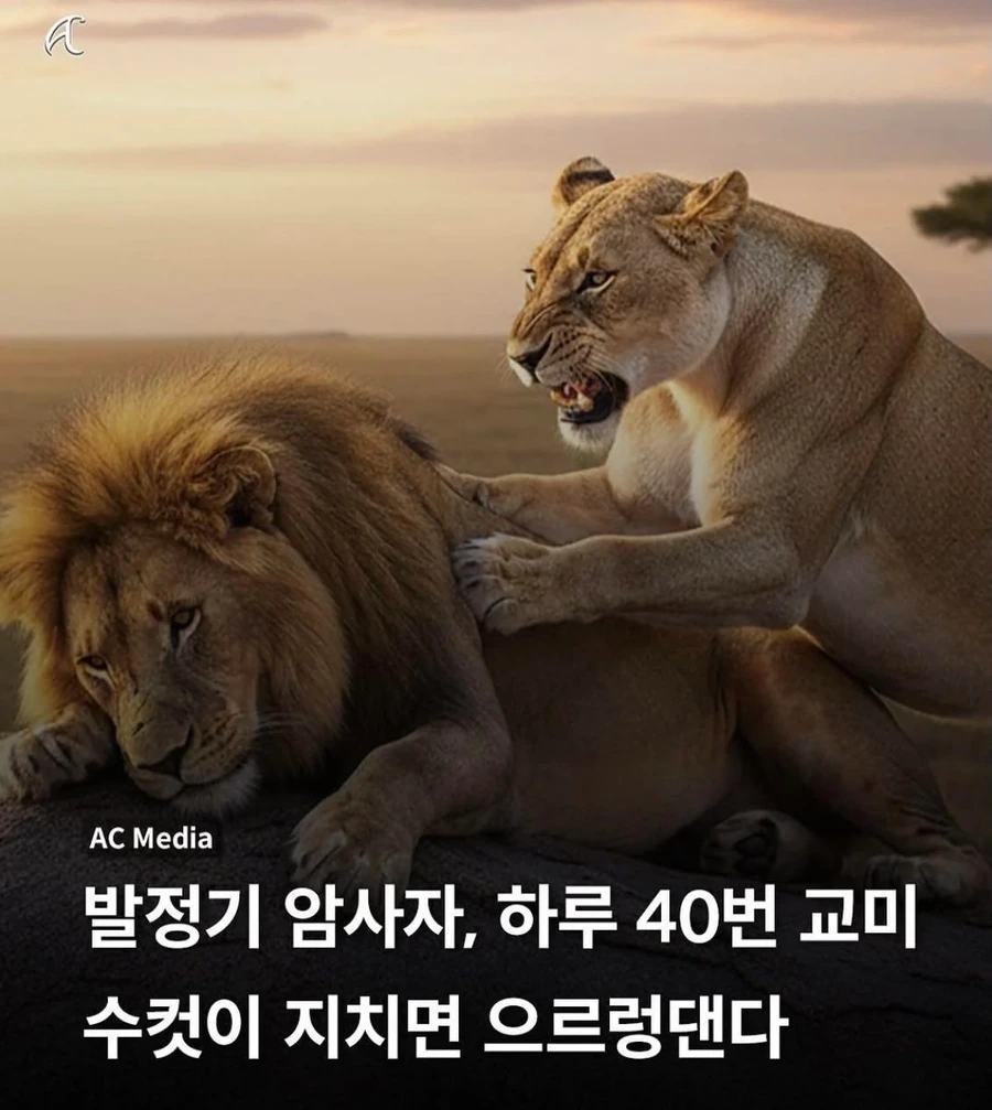 잘생긴놈보면 환장한다는 ㅇㅋ