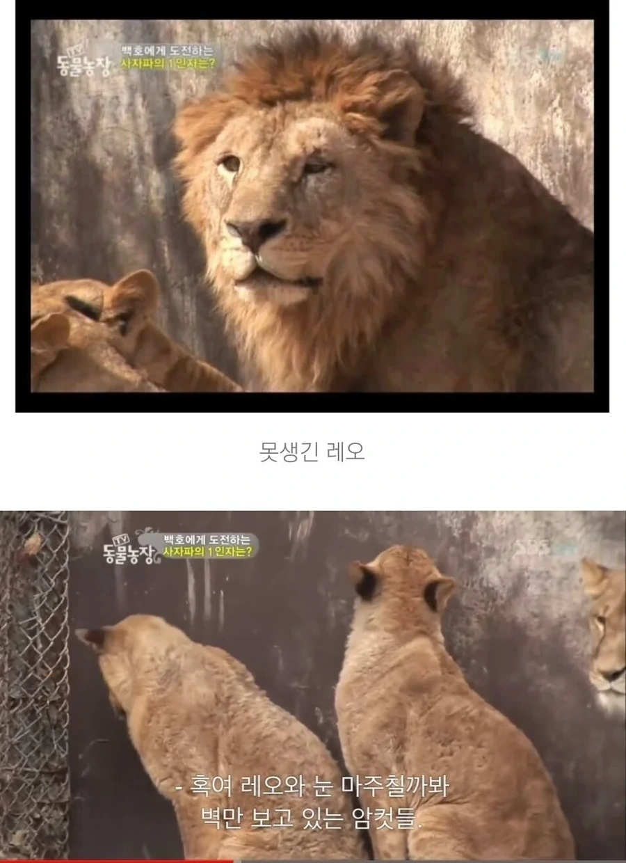 잘생긴놈보면 환장한다는 ㅇㅋ - 이미지 2