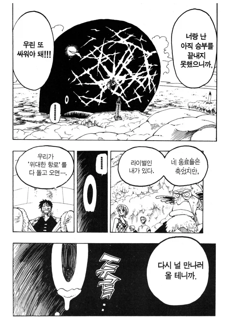 원피스)미래를 멀리도 내다본 루피