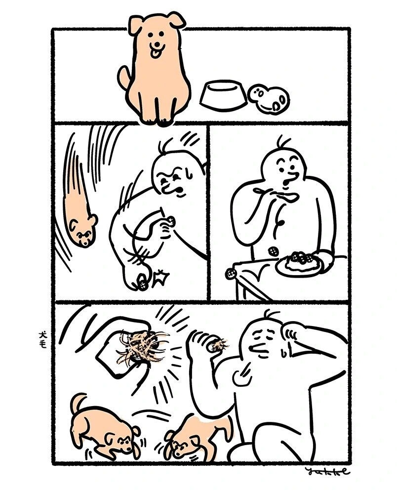 이제는 없어진 강아지를 추억하는.manwha