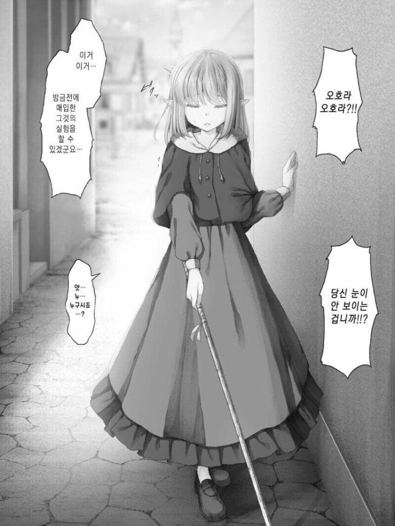 눈이 안 보이는 엘프 manhwa - 이미지 3