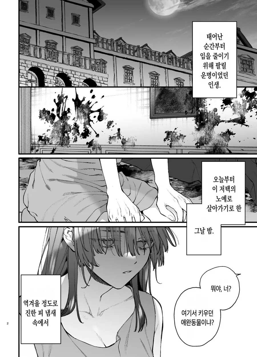 킬러의 위태롭고 맹목적인 사랑에 애완 펫은 저항할 수 없어.manhwa