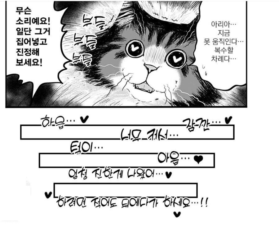 ㅇㅎ)고양이 수인 만화의 후기(왜곡