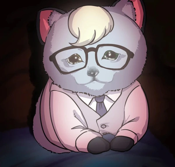 불쌍한 고양이