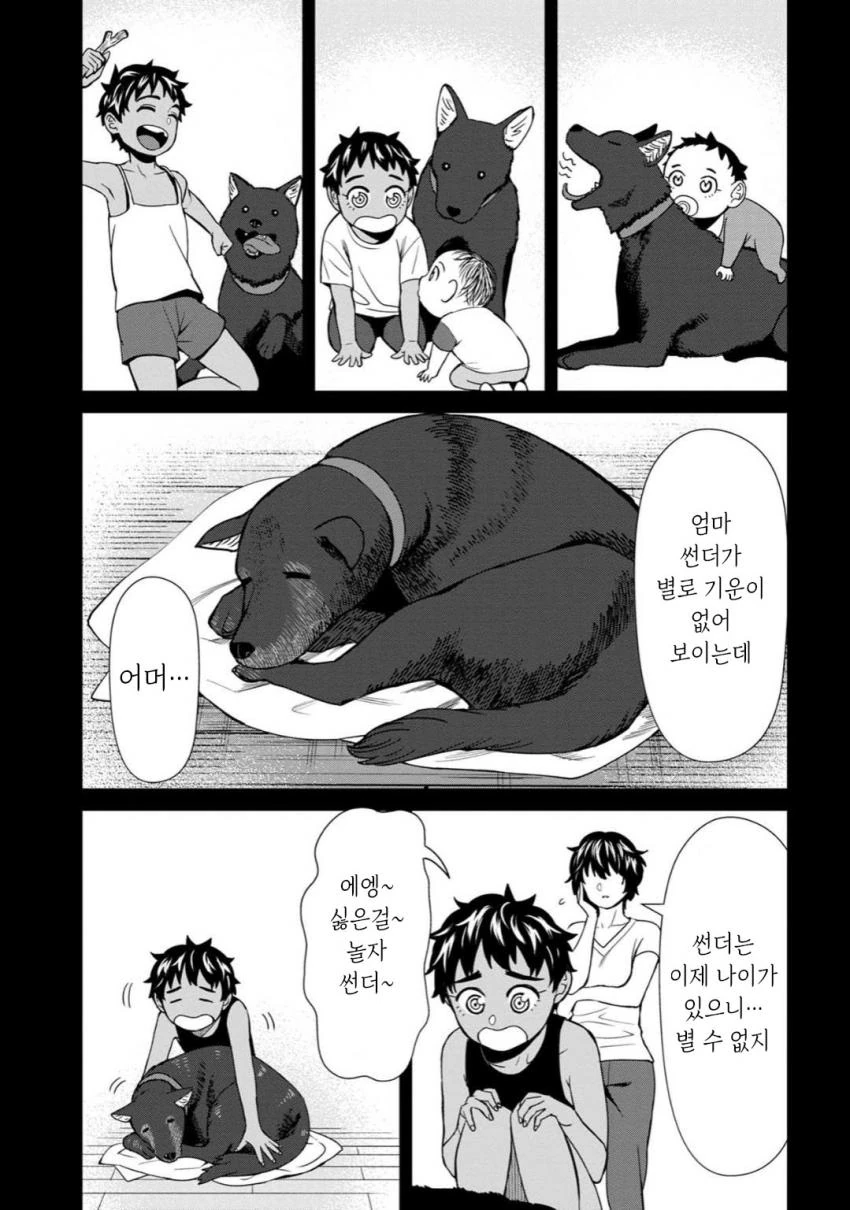 반려견과 이별 만화.manhwa - 이미지 3