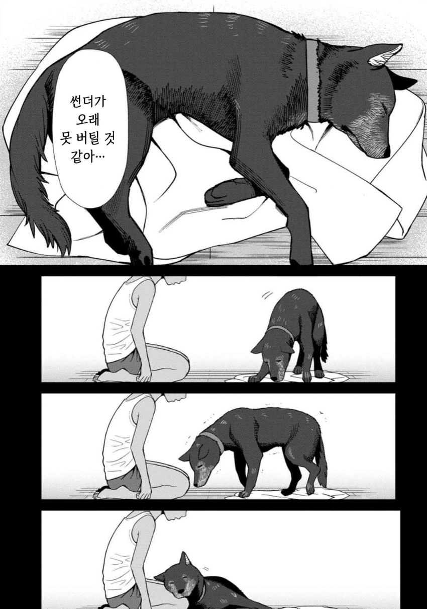 반려견과 이별 만화.manhwa - 이미지 5