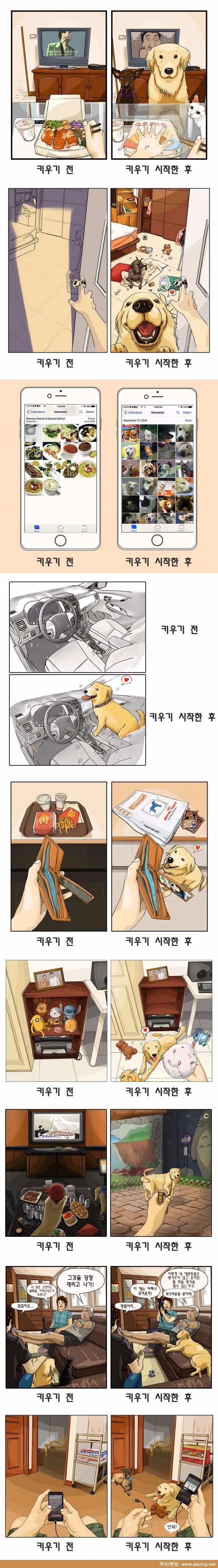 반려동물을 키우기 전과 후.manwha