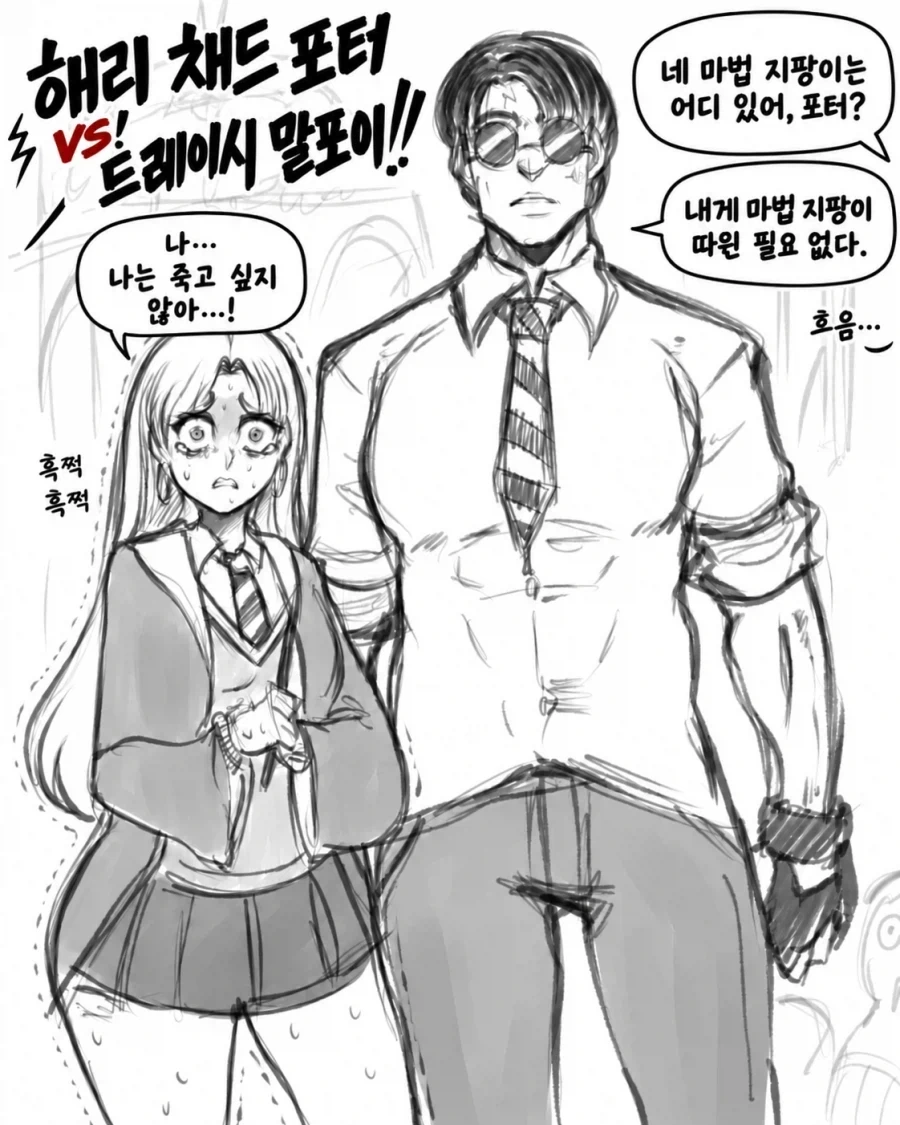 해리포터와 대결하는 TS말포이 만화