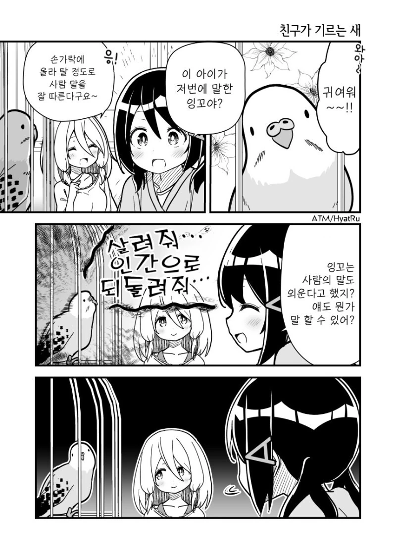 사람 말을 잘 하는 앵무새.manga