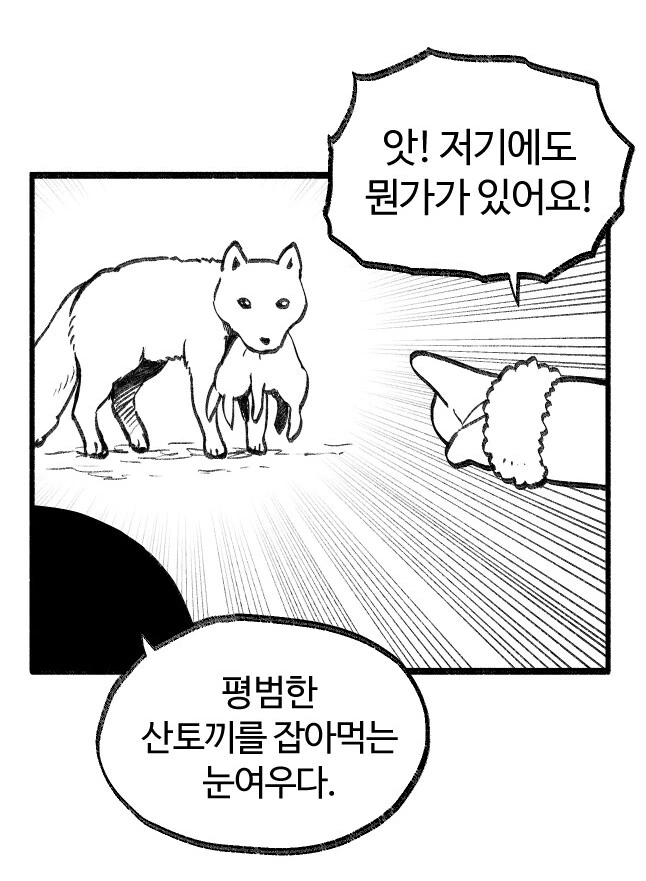 토끼가 최강인 이유 - 이미지 2