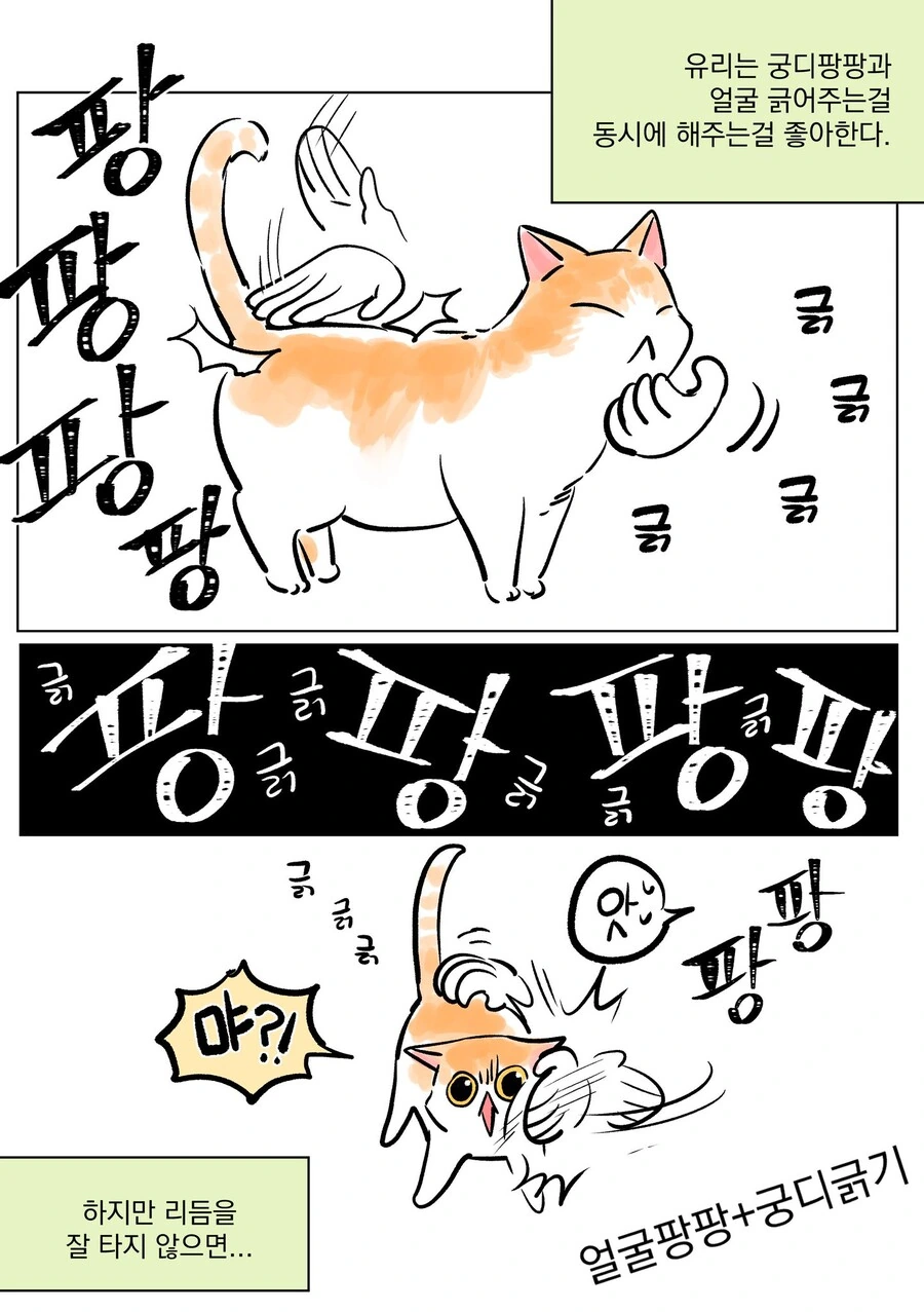 고양이한테 리본 목걸이 해주는 만화 - 이미지 5