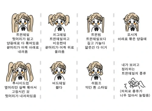 트윈테일의 종류