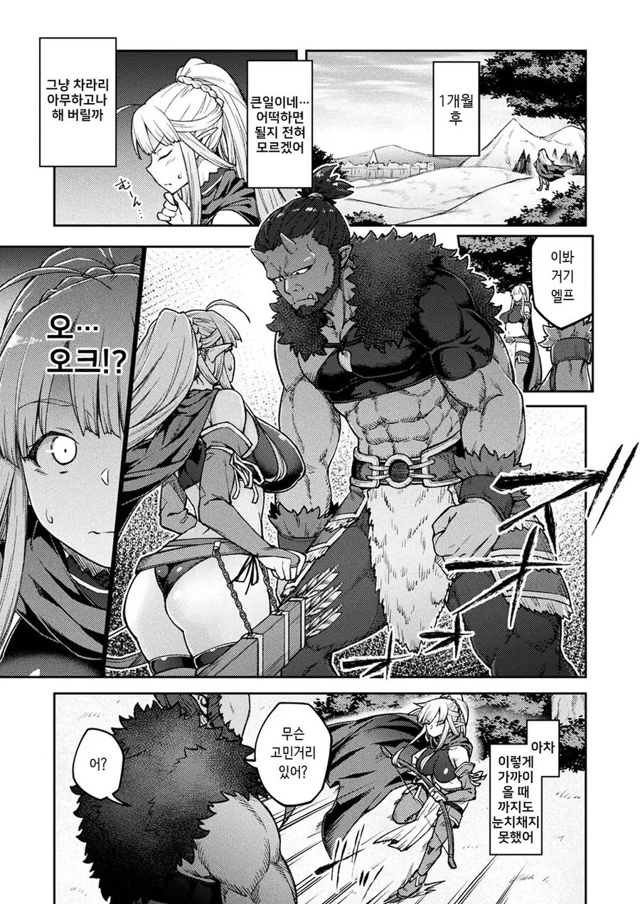 저출산 문제 해결하는 엘프.Manga