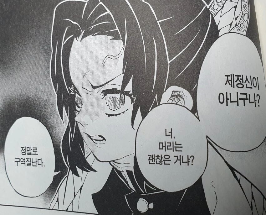 불법 번역으로 억울한 만화 - 이미지 3