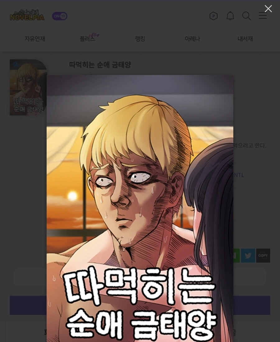 순애 금태양
