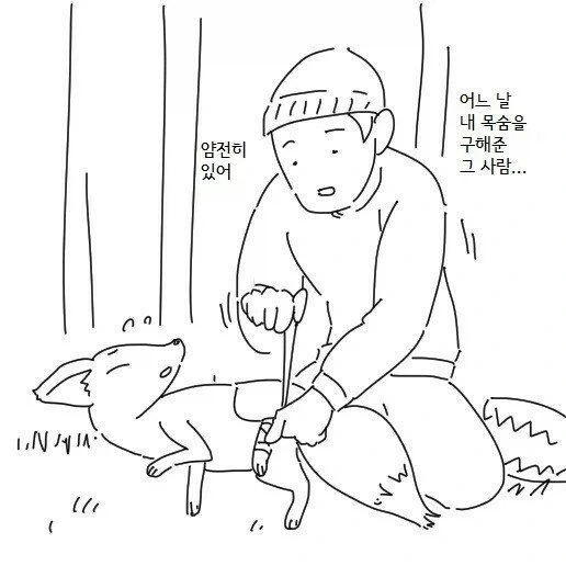 여우와 결혼하는 만화