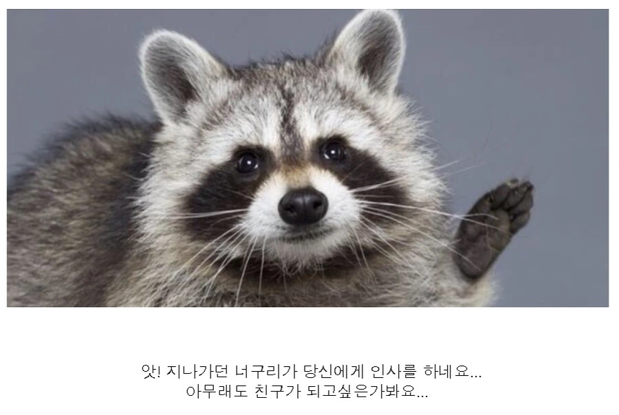 고양이 찾아준 유부녀에게 보답하는.manhwa - 이미지 9