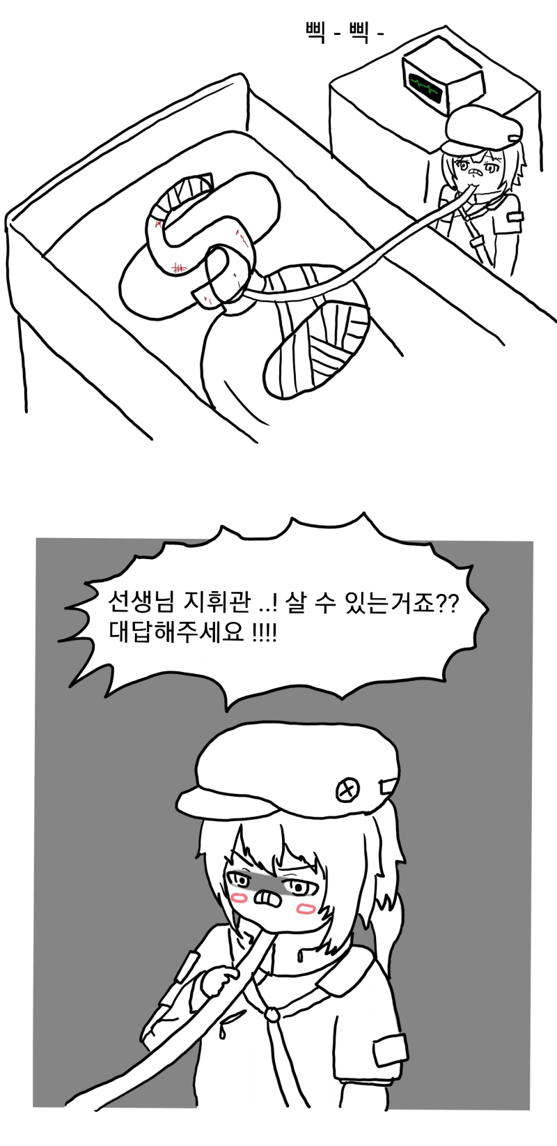 소전)호식이가 지휘관을 치료하는 만화