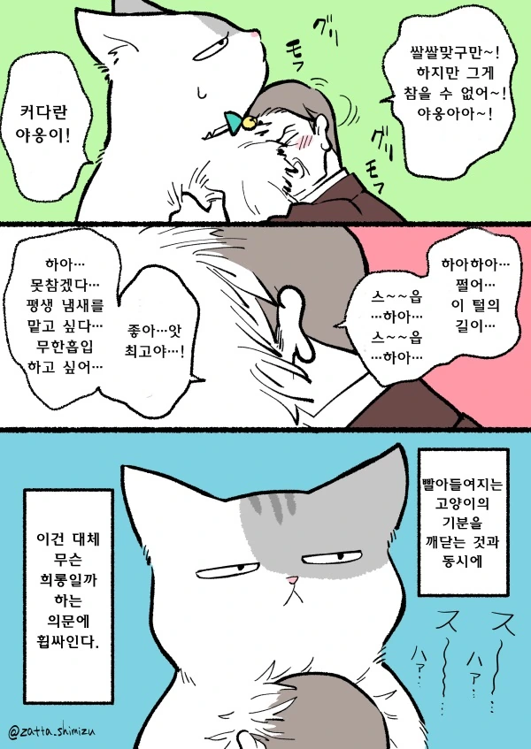 자고 일어나니 고양이가 되버린 만화.2 - 이미지 2