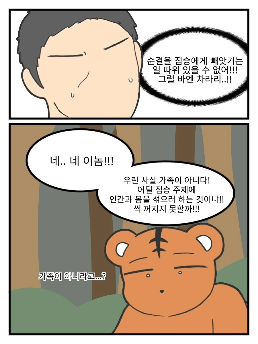 많이 수상한 호랑이 누님 만화 - 이미지 10