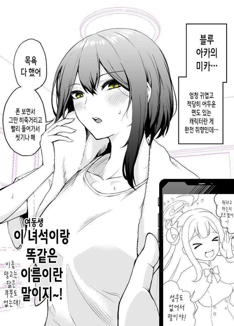 여동생이랑 코미케 뒤풀이하는 만화