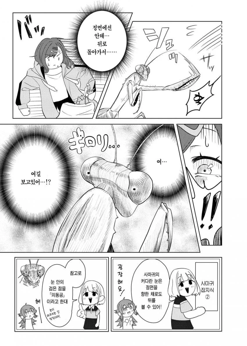 @) 히구치 vs 사마귀.manga - 이미지 8