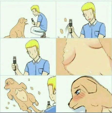 오랫만에 애완견 털 깍는 만화.Manwha