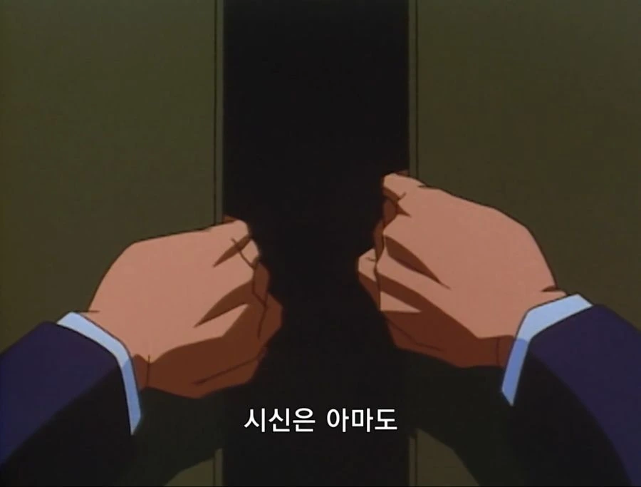 코난) 검은 조직보다 무서웠던 범인 중 하나 jpg. - 이미지 14