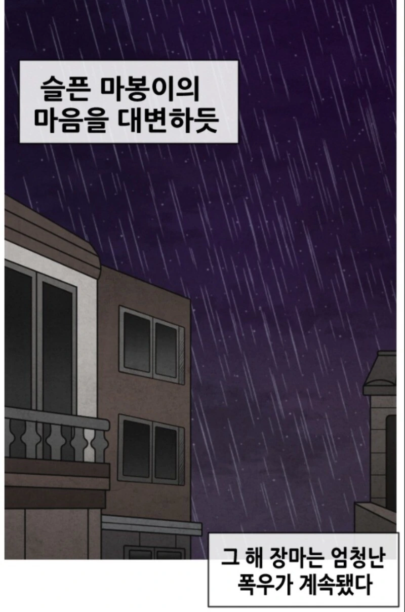 진짜로 거짓따윈 없는 일상작가.manhwa - 이미지 5