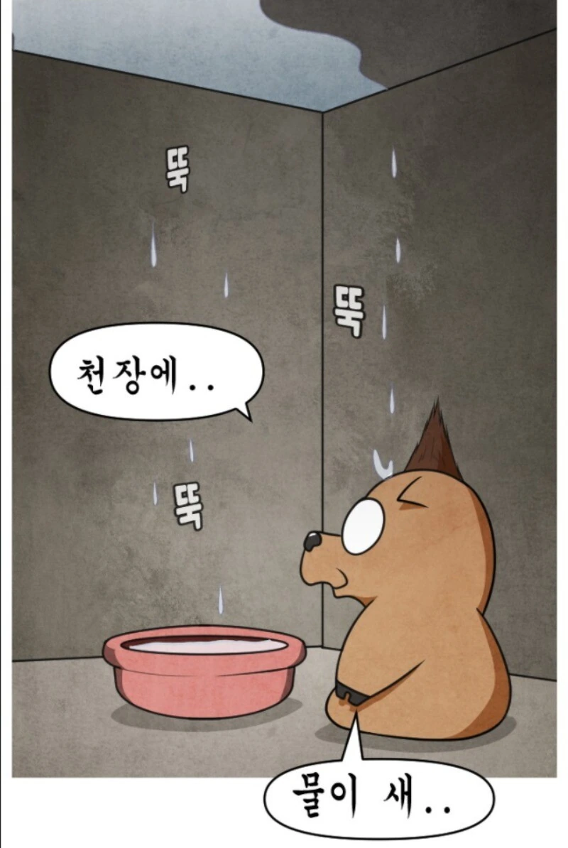 진짜로 거짓따윈 없는 일상작가.manhwa - 이미지 6