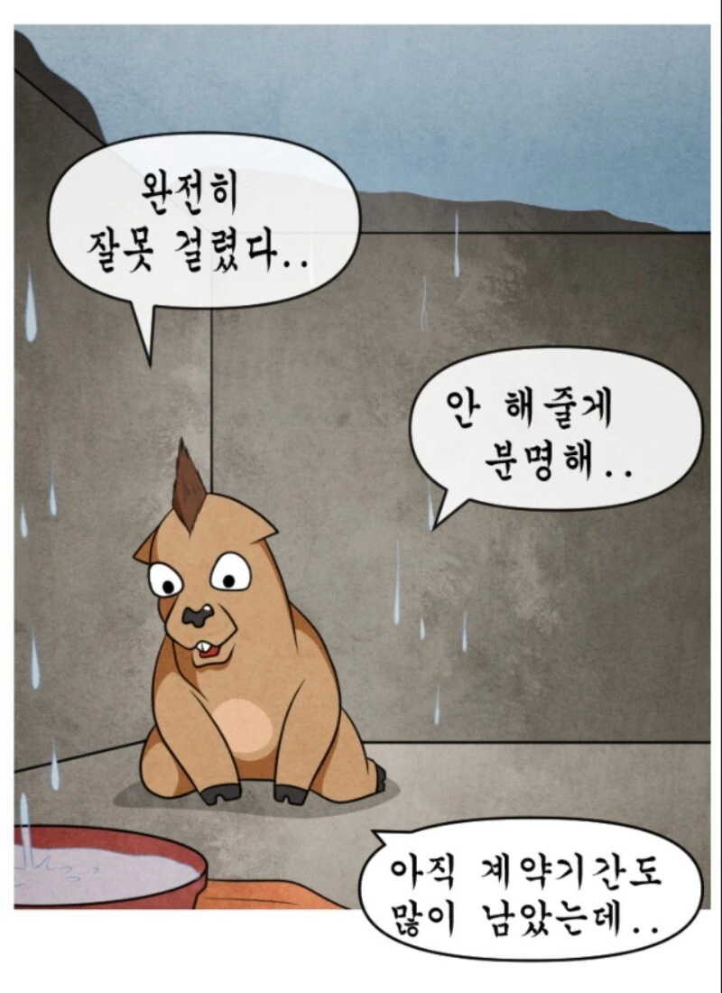 진짜로 거짓따윈 없는 일상작가.manhwa - 이미지 11