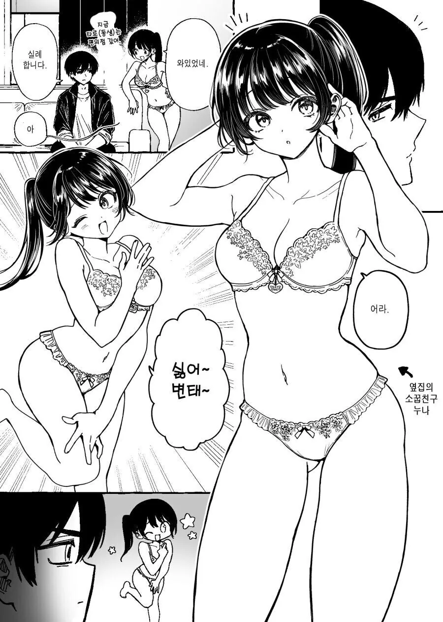 노멀 1성짜리 소꿉친구 누나 만화.manwha