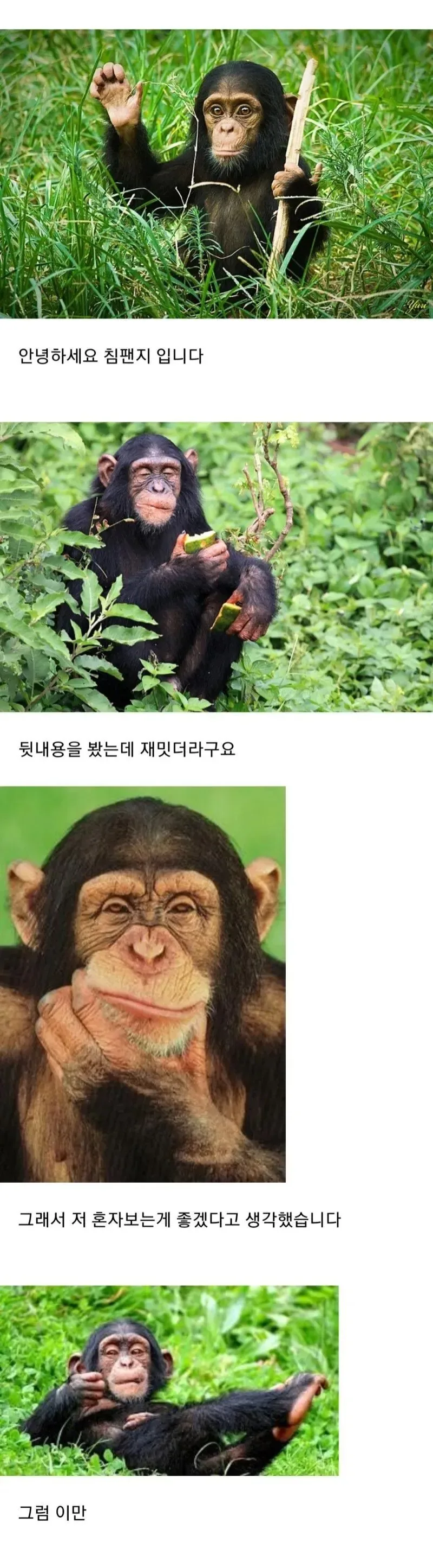 최면으로 일진 참교육하는 만화 - 이미지 5