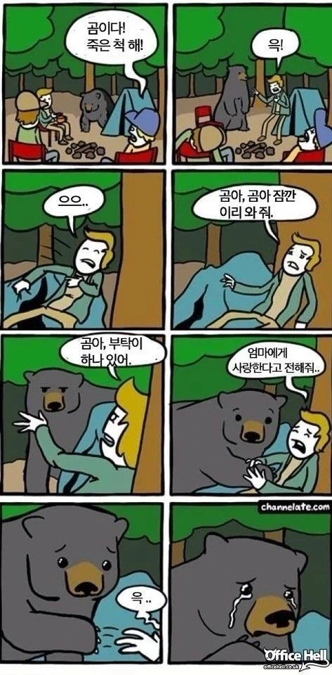 곰 앞에서 죽은척하면 안되는 이유 만화