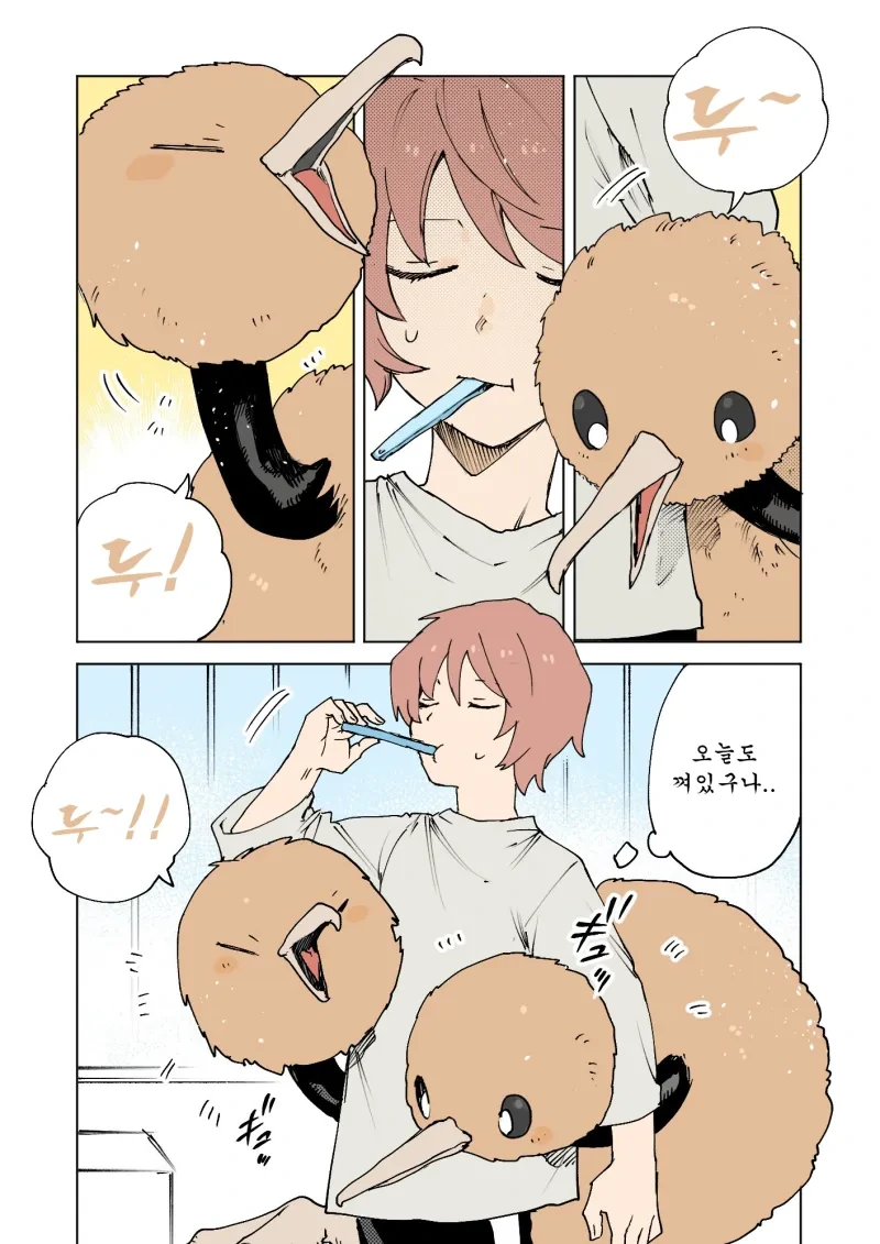 포켓몬)두두와의 일상 만화