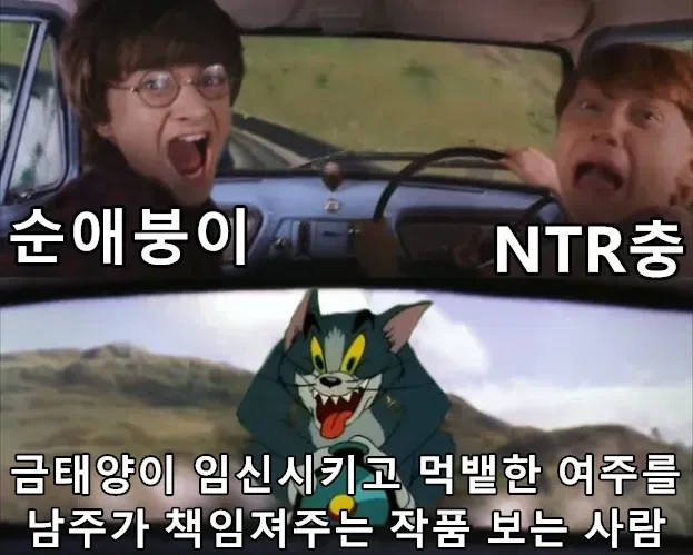 순애파와 ntr충 모두 거르는 만화