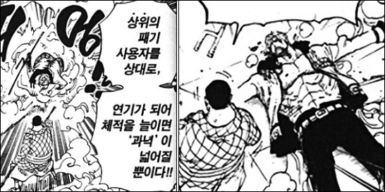 원피스)패기가 남긴 큰 업적 - 이미지 2