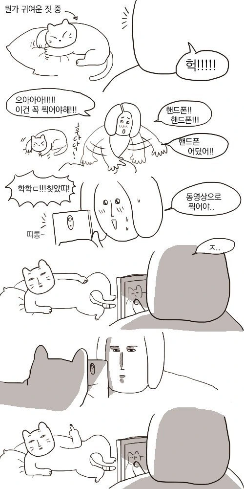 애완동물 사진 찍을 때 공감.manhwa
