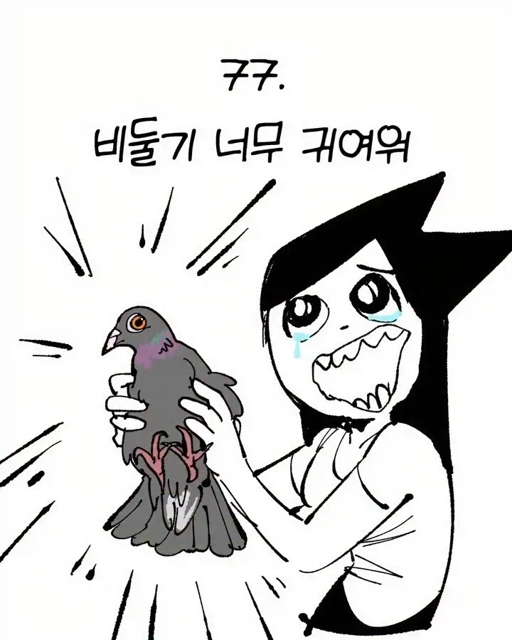 비둘기가 너무 귀여운 manhwa