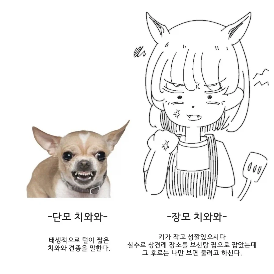 장모와 단모의 차이.manhwa - 이미지 2