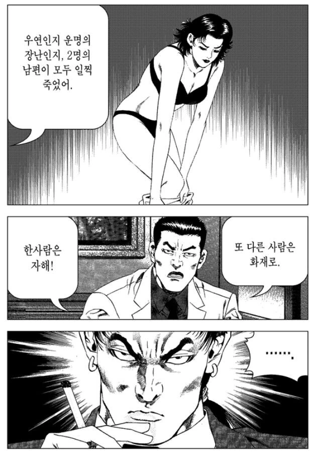 김성모) 2번 결혼한 여자의 비밀 - 이미지 6
