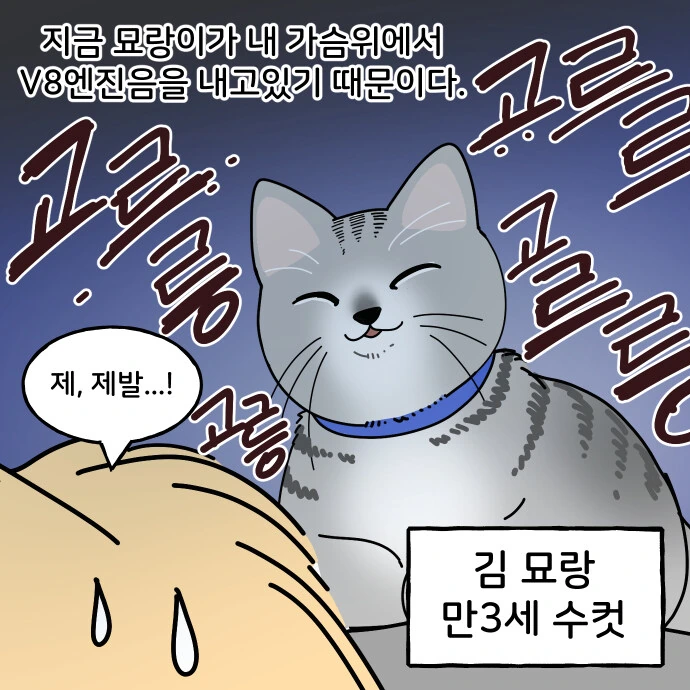 고양이가 몸 위에 올라오는게 무서운 이유.manwha - 이미지 2
