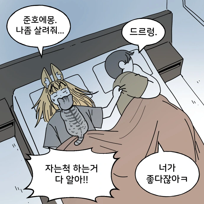 고양이가 몸 위에 올라오는게 무서운 이유.manwha - 이미지 3