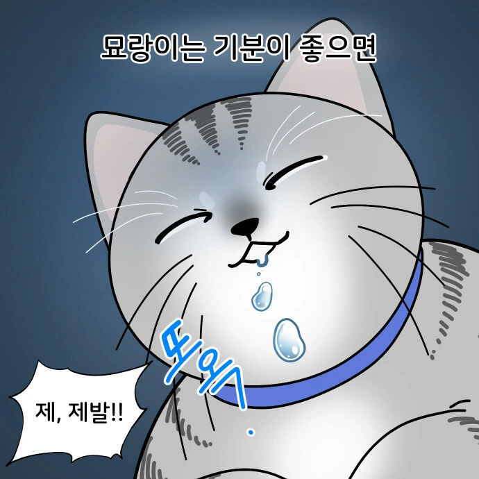 고양이가 몸 위에 올라오는게 무서운 이유.manwha - 이미지 5