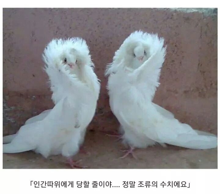 소년 만화 클리셰